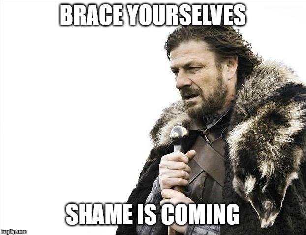 An image of Ned Stark, across the page it reads, 'brace yourselves, shame is coming'